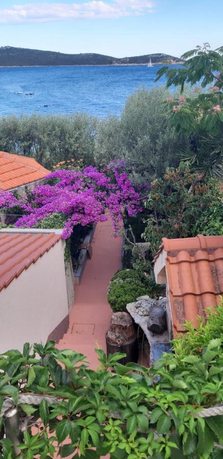 Apartments Luka سيفيد المظهر الخارجي الصورة