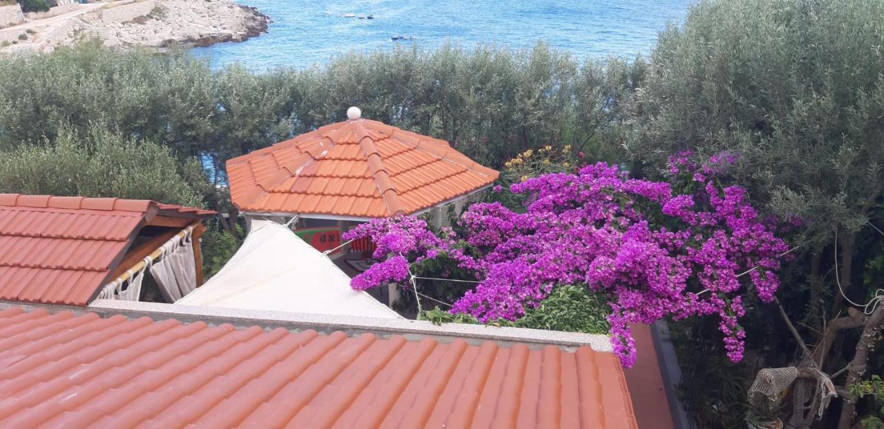 Apartments Luka سيفيد المظهر الخارجي الصورة