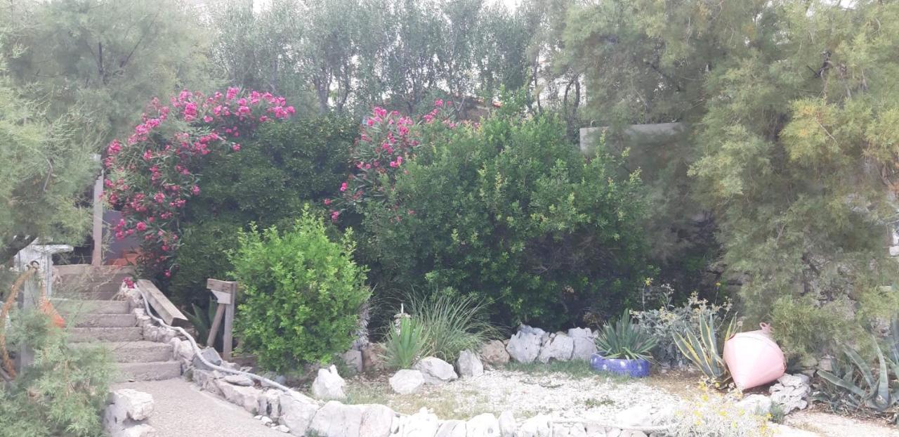 Apartments Luka سيفيد المظهر الخارجي الصورة